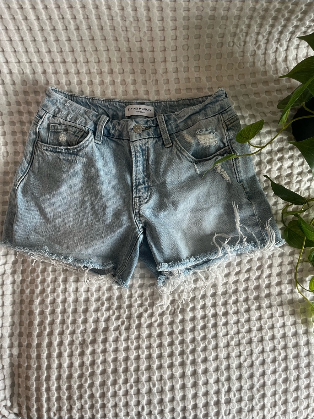 Flying Monkey Light Wash Distressed Denim Shorts